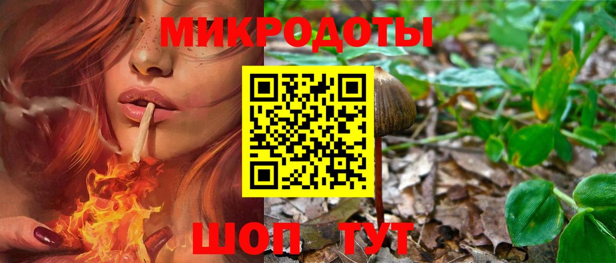 Псилоцибиновые грибы прущие грибы Арзамас
