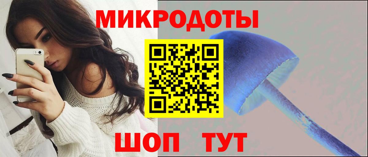 Арзамас  Галлюциногенные грибы Psilocybine cubensis  Вход с VPN 